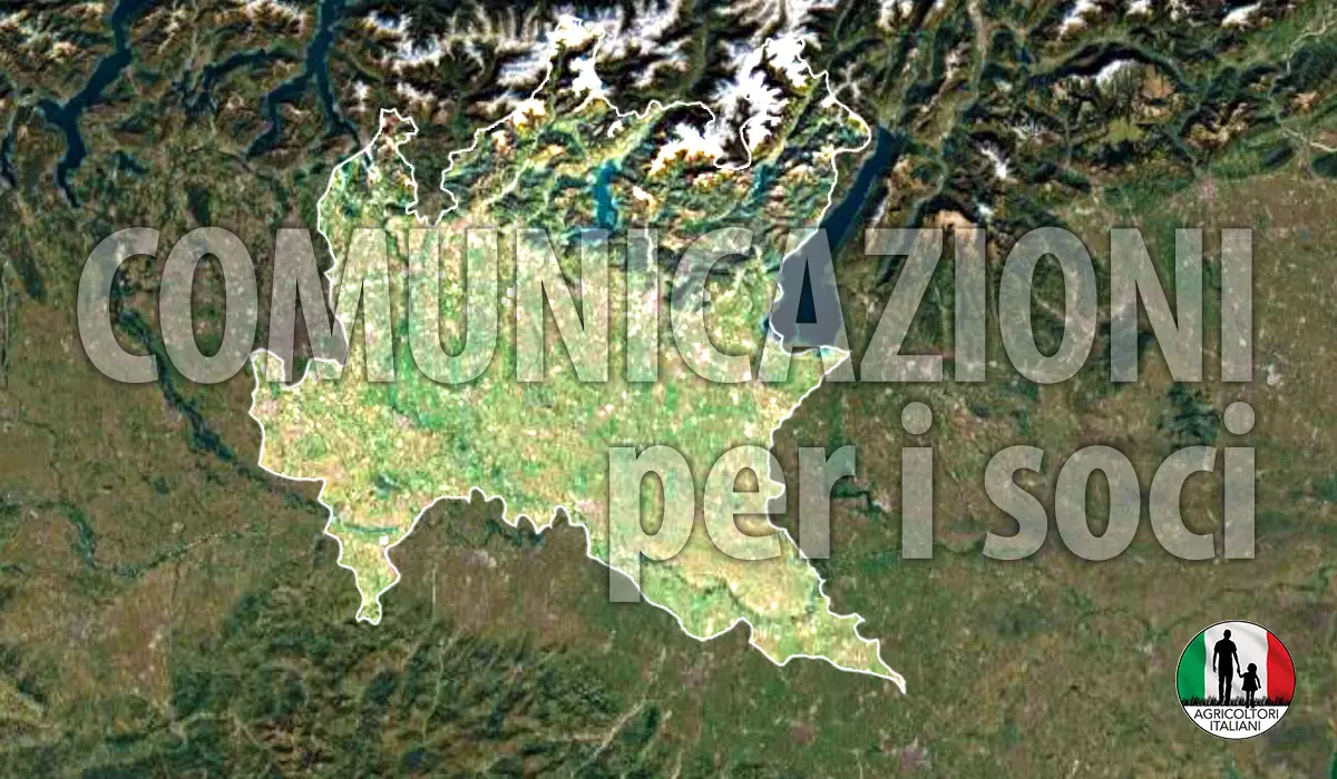 Comunicati Associazione